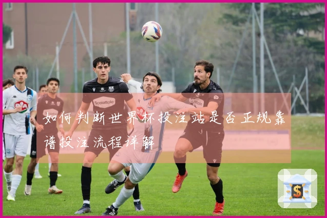 如何判断世界杯投注站是否正规靠谱投注流程详解